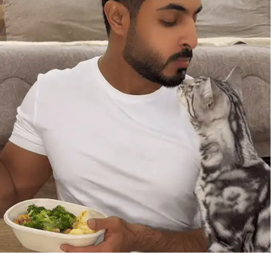 @sultanfalasi food content