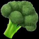 Vegetarian